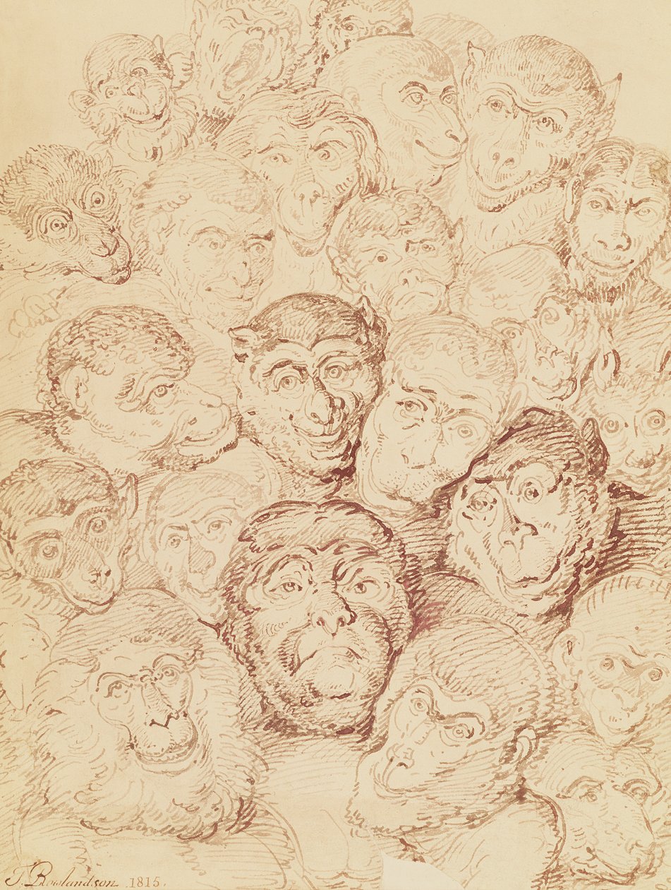 Maymun Yüzleri, 1815 by Thomas Rowlandson