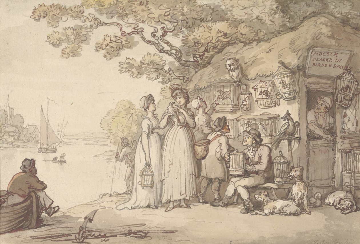 Pidcock, Kuşlar ve Canavarlar Bayisi (kağıt üzerine kalem & mürekkep ve wc) by Thomas Rowlandson