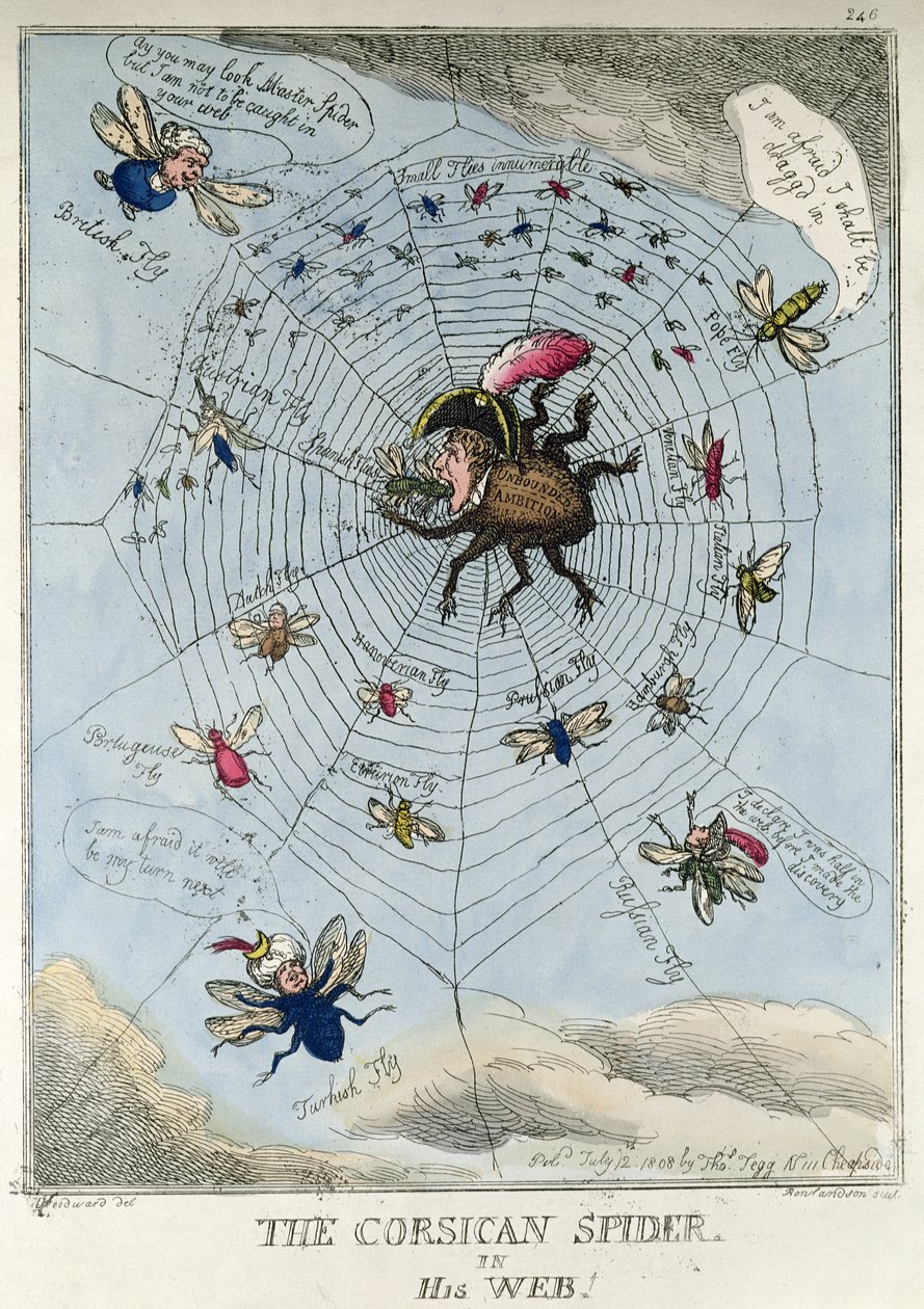 Ağında Korsikalı Örümcek by Thomas Rowlandson
