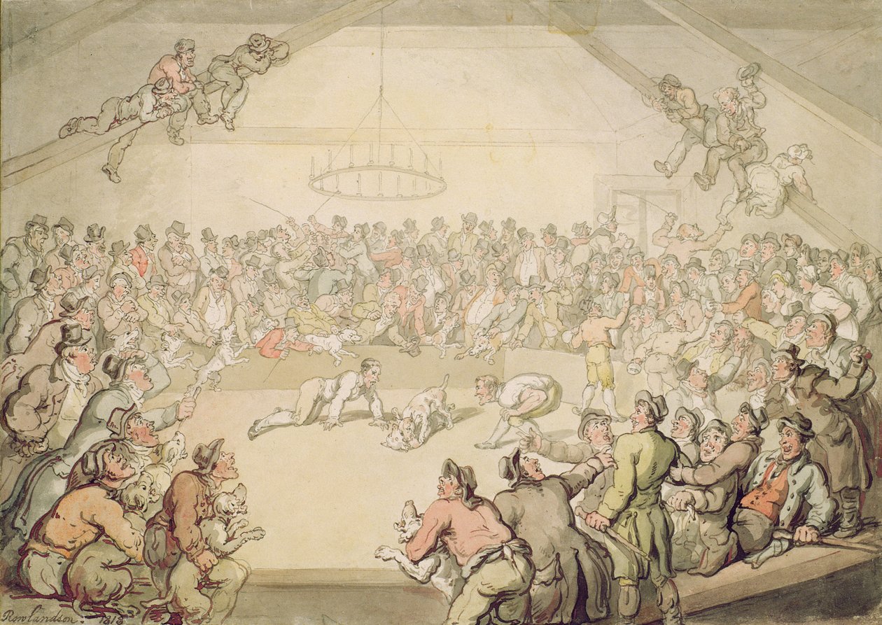 Köpek Dövüşü by Thomas Rowlandson