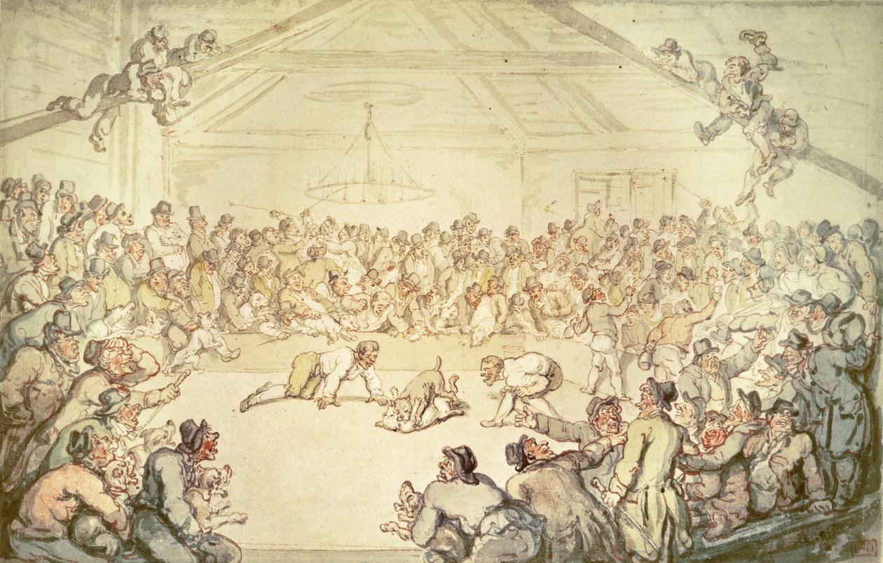 Köpek Dövüşü by Thomas Rowlandson