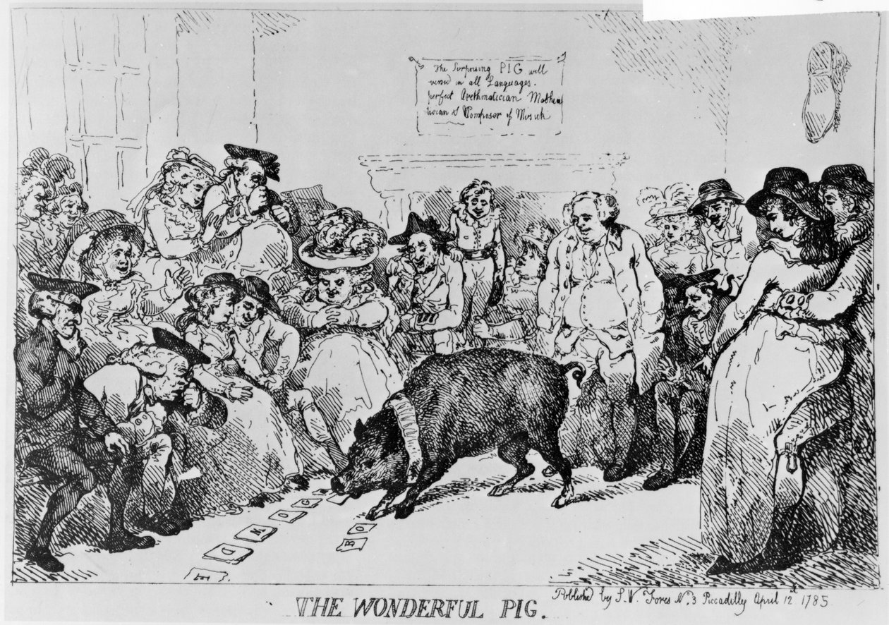 Harika Domuz, 1785 by Thomas Rowlandson