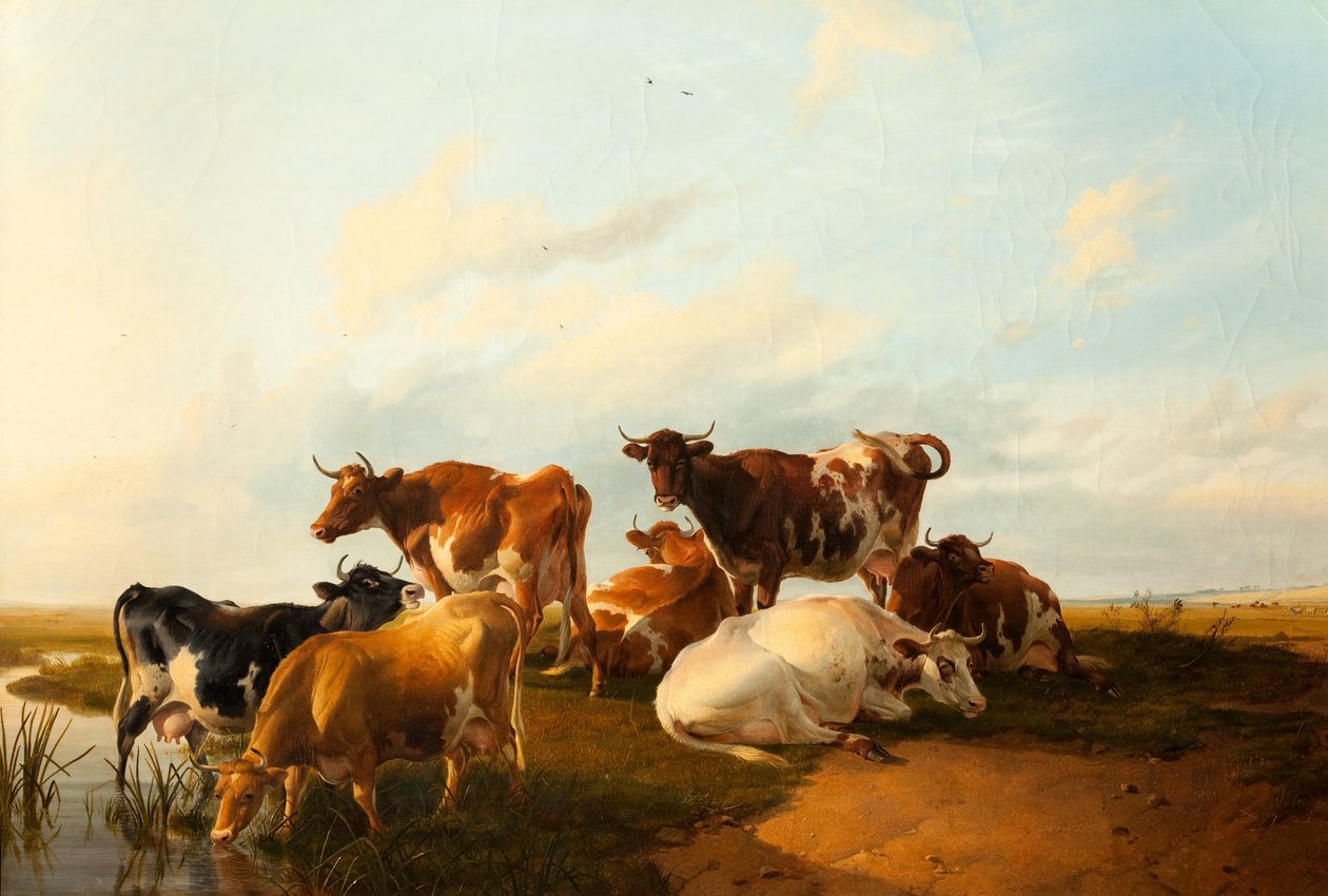ಹುಲ್ಲುಗಾವಲುಗಳಲ್ಲಿ ಸಂಜೆ, 1871 ಟರ್ಕ್ by Thomas Sidney Cooper