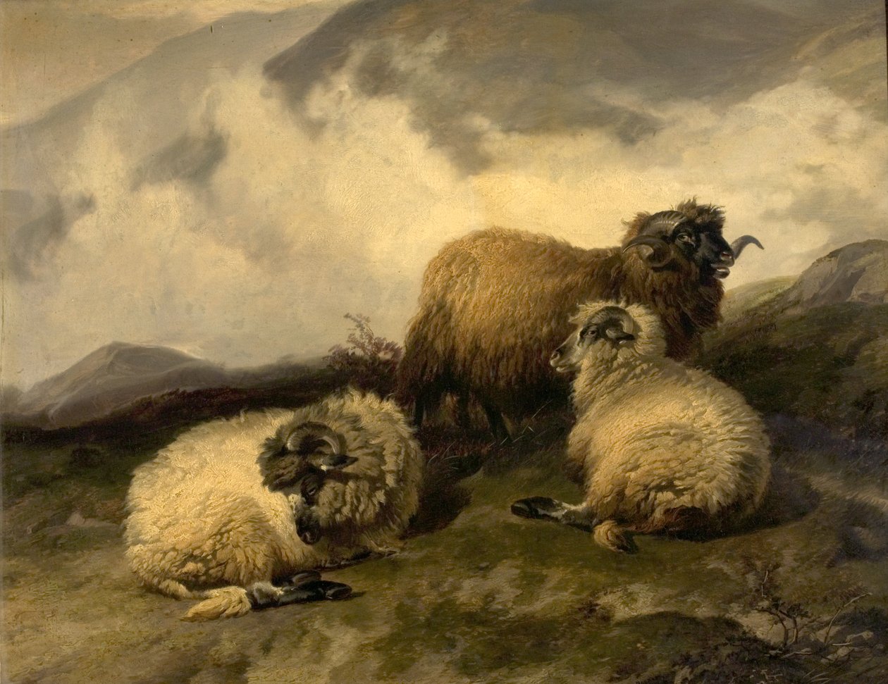 Dağ Koyunu (Sabah Sisi Açıkken) 1846 by Thomas Sidney Cooper