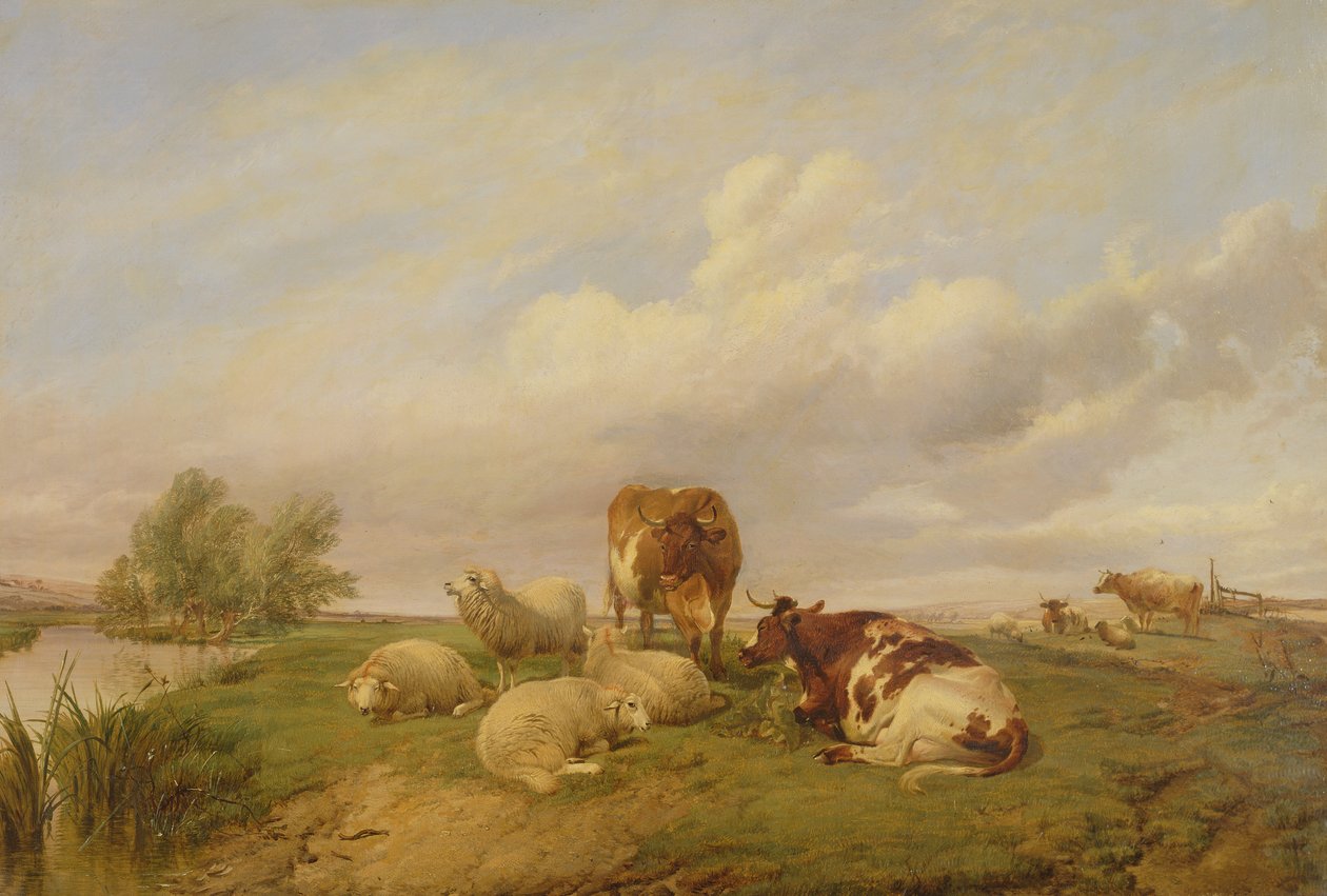 Canterbury Meadows