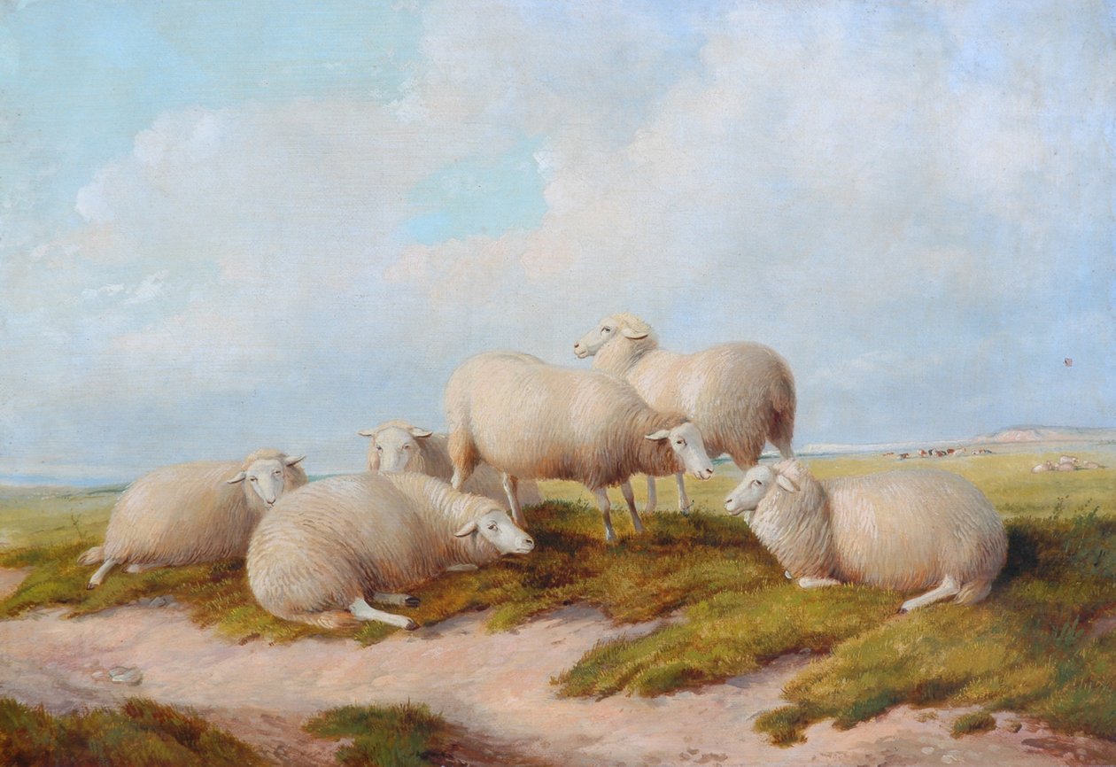 Koyun by Thomas Sidney Cooper