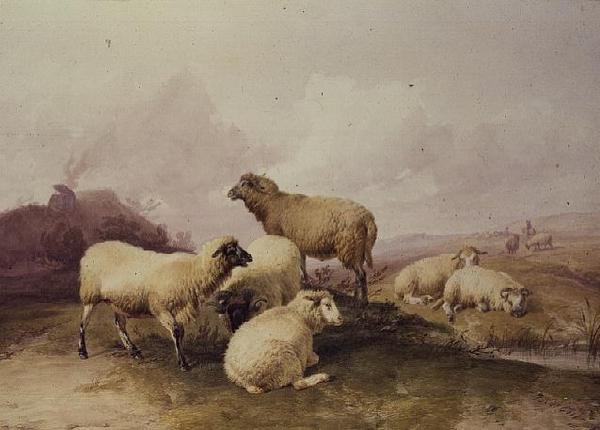 Manzaradaki Koyun, 1844 by Thomas Sidney Cooper