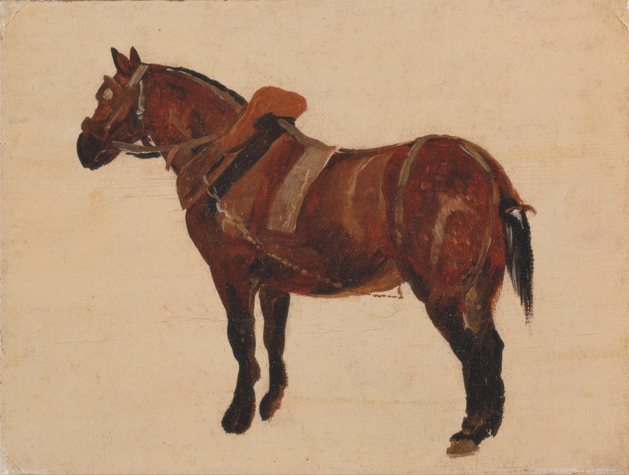 Çalışan Bir At Çalışması by Thomas Sidney Cooper