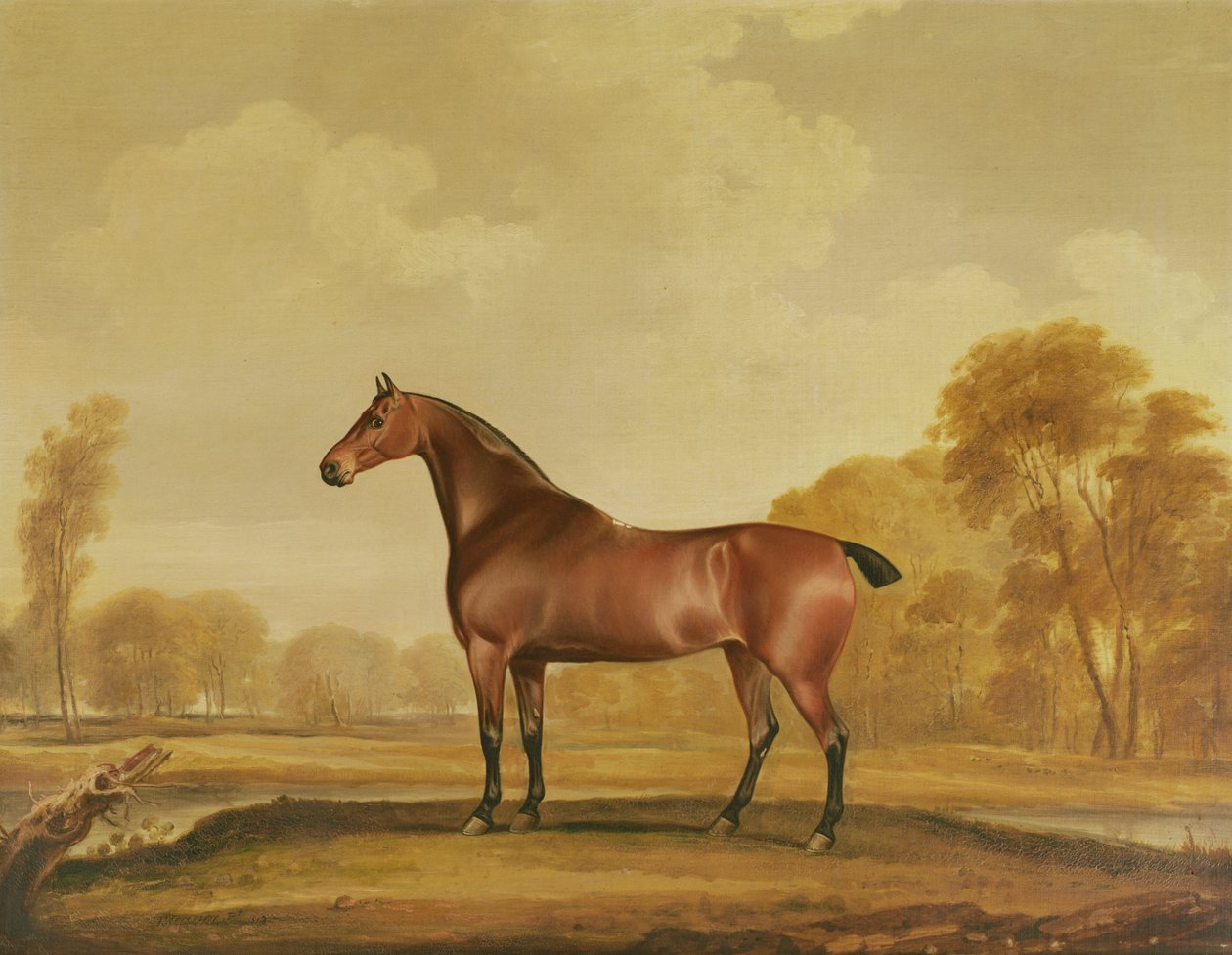 zillah by Thomas Weaver