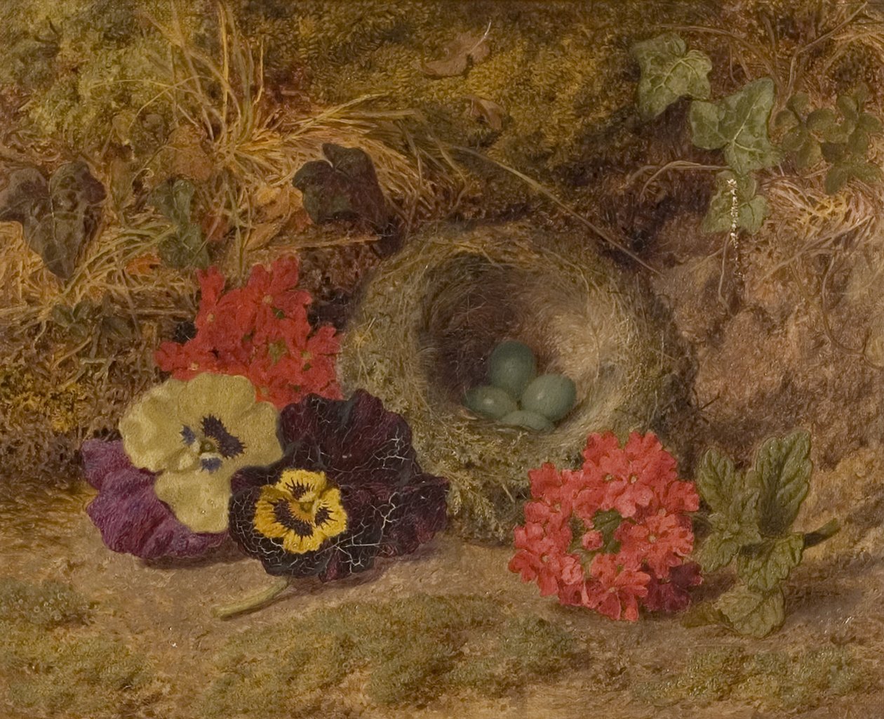 Bir Kuş Yuvası, Hercai Menekşe ve Mine Çiçeği, 19. yüzyıl sonu by Thomas Worsey