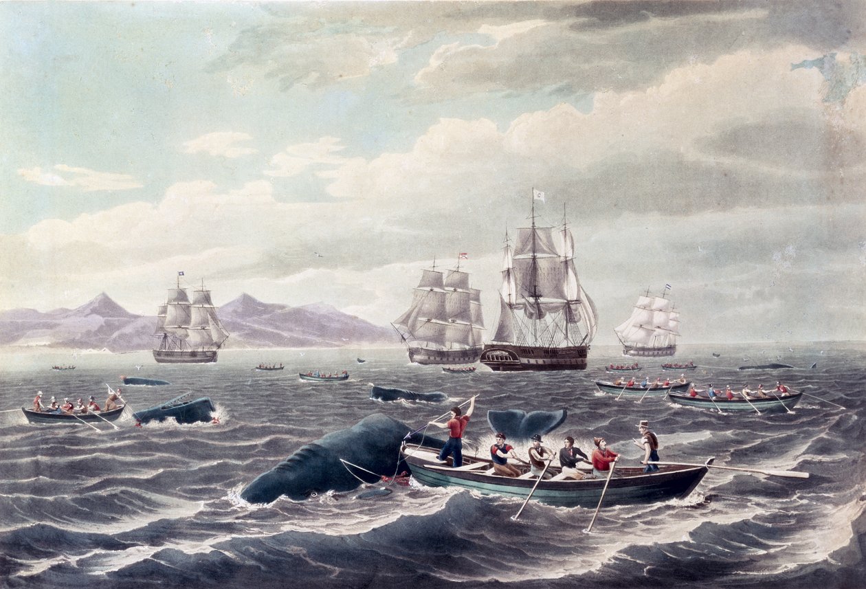  by Thomas (after) Birch