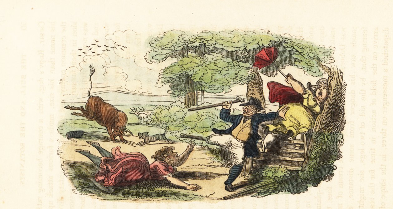 Bir tarlada hücum eden bir boğa tarafından saldırıya uğrayan bir botanikçi ailesi. ,1831 (gravür) by Thomas (after) Rowlandson
