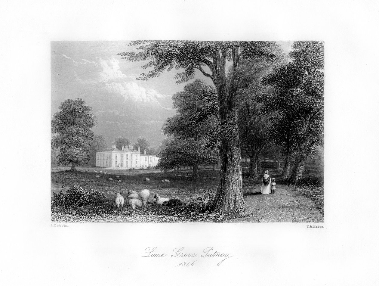 Kireç Korusu, Putney, 1846. by Thomas Abel Prior