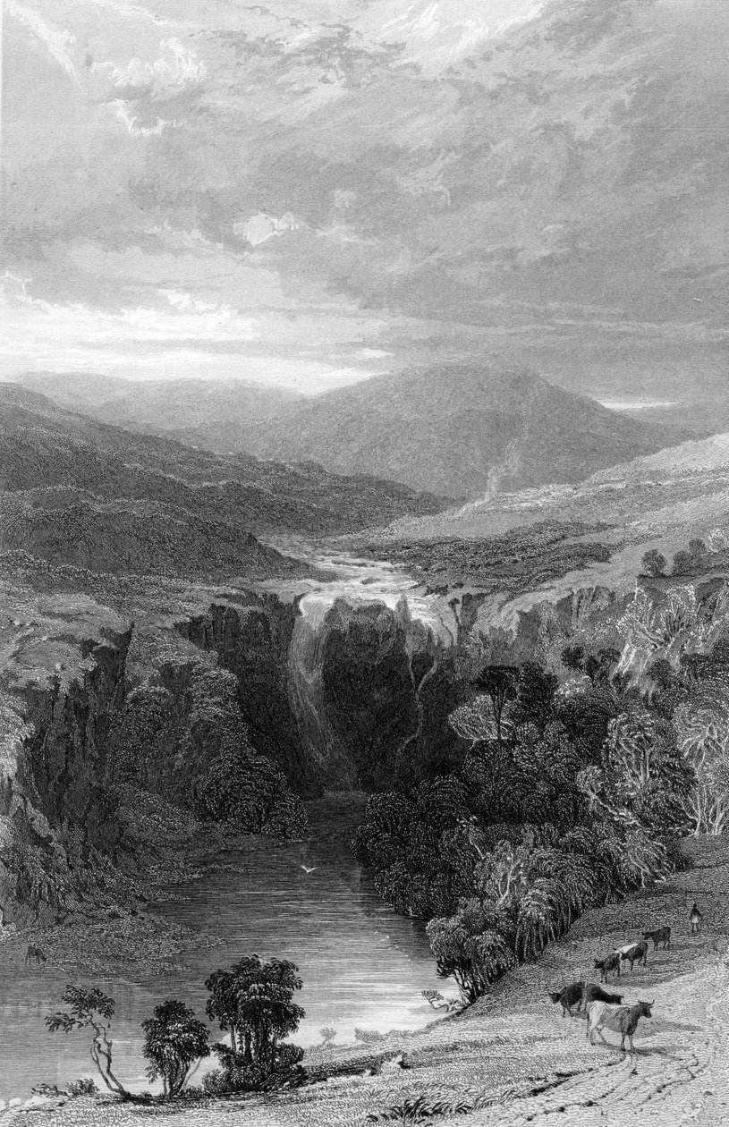 Tees tarafından Yüksek Kuvvet, Durham, c.1835 by Thomas Allom
