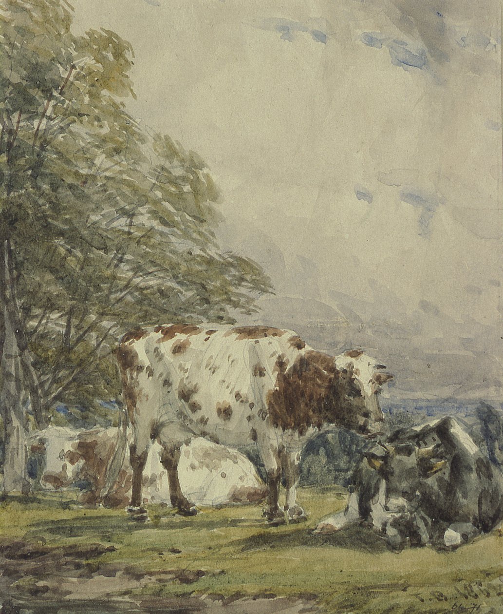 Bir Sığır Araştırması, 19. Yüzyıl by Thomas Baker