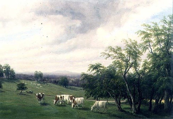 Parkland