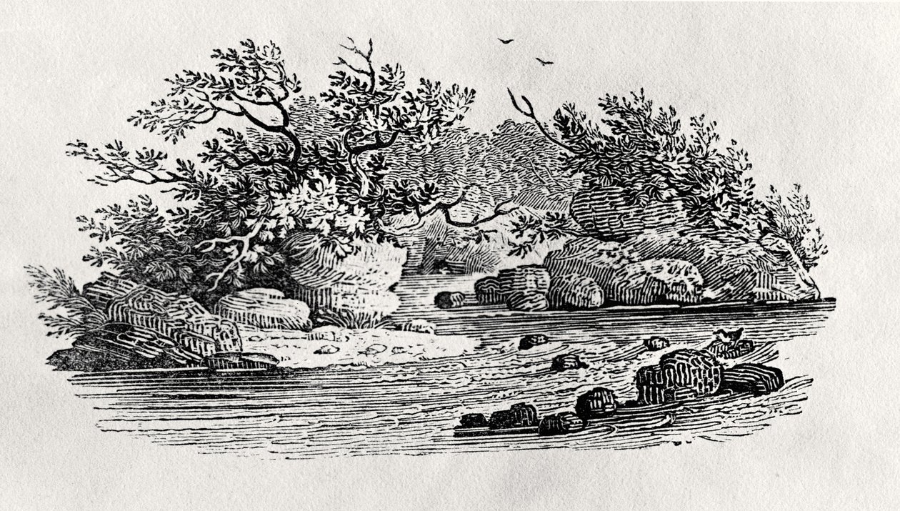 1804