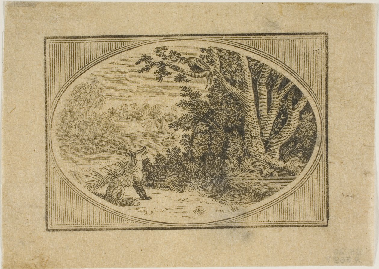 masal by Thomas Bewick