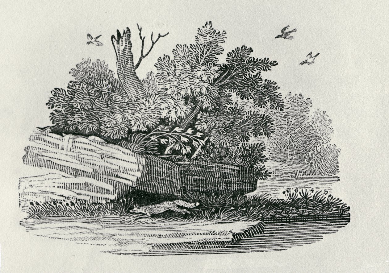 1790