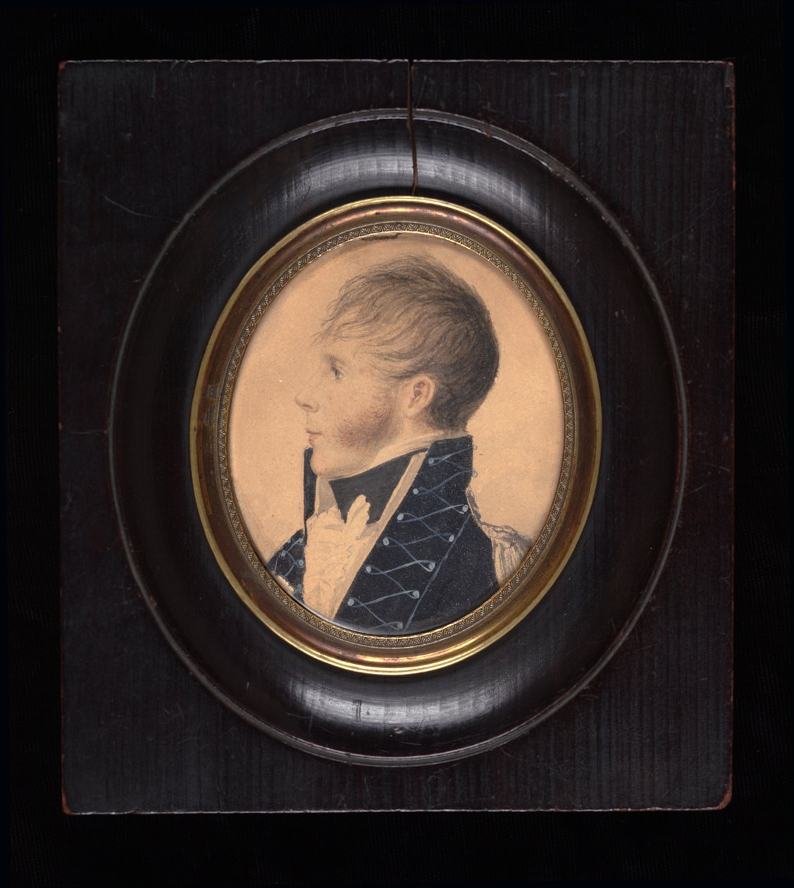 Bay Veacock, ca. 1812. by Thomas Birch