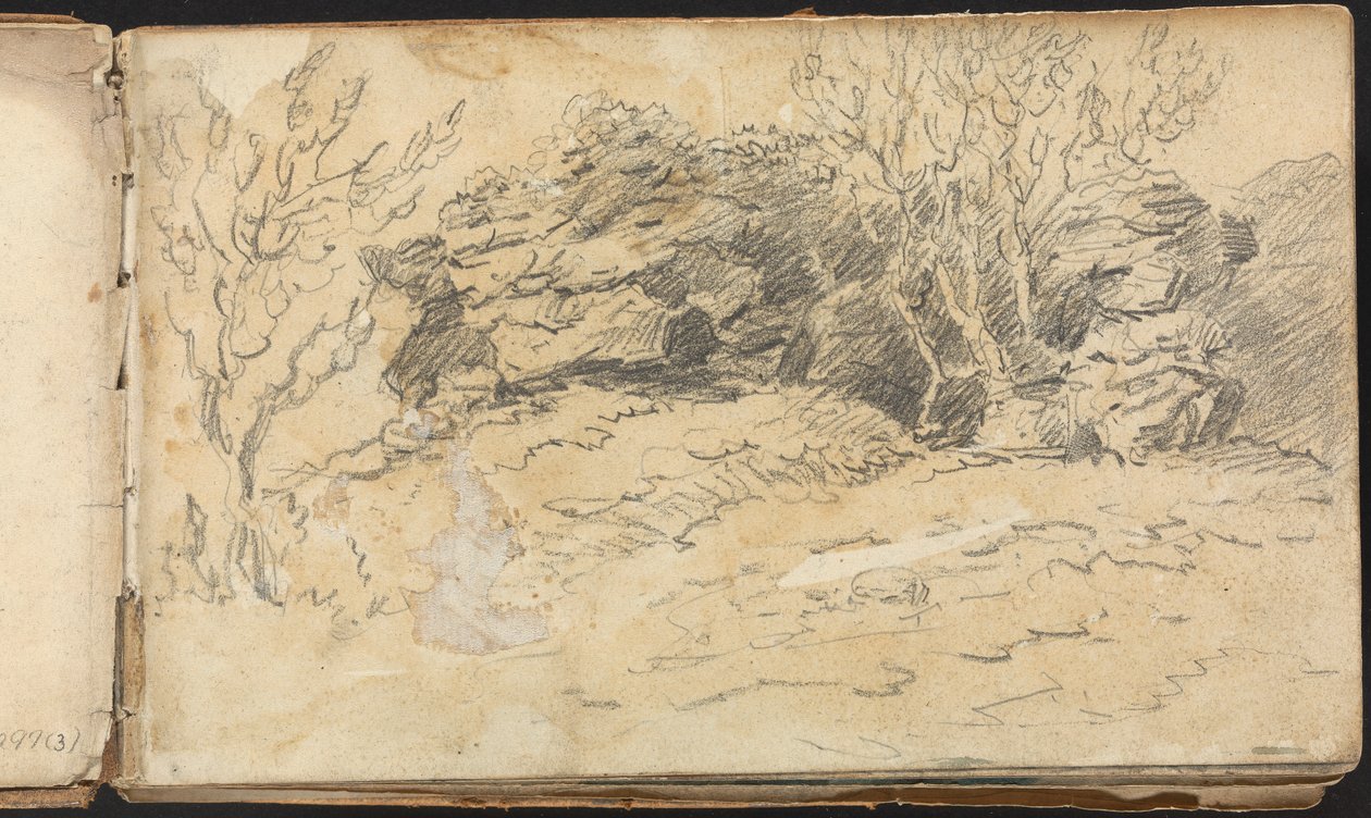 Peyzaj ve Figür Çalışmaları Albümü: Sketch of Trees and Rocks by Thomas Bradshaw