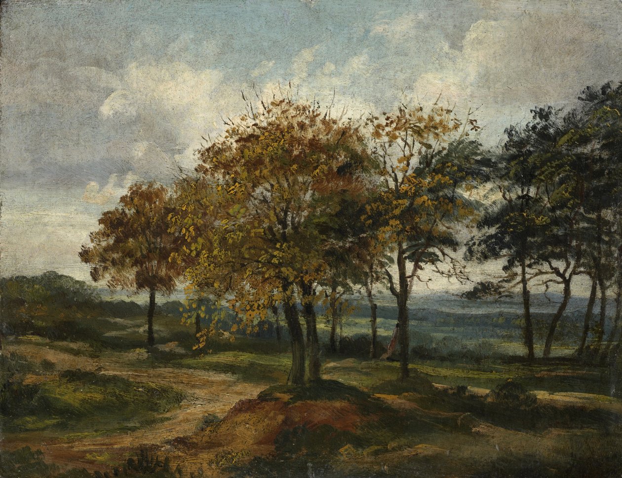 Ormanlık Peyzaj by Thomas Churchyard