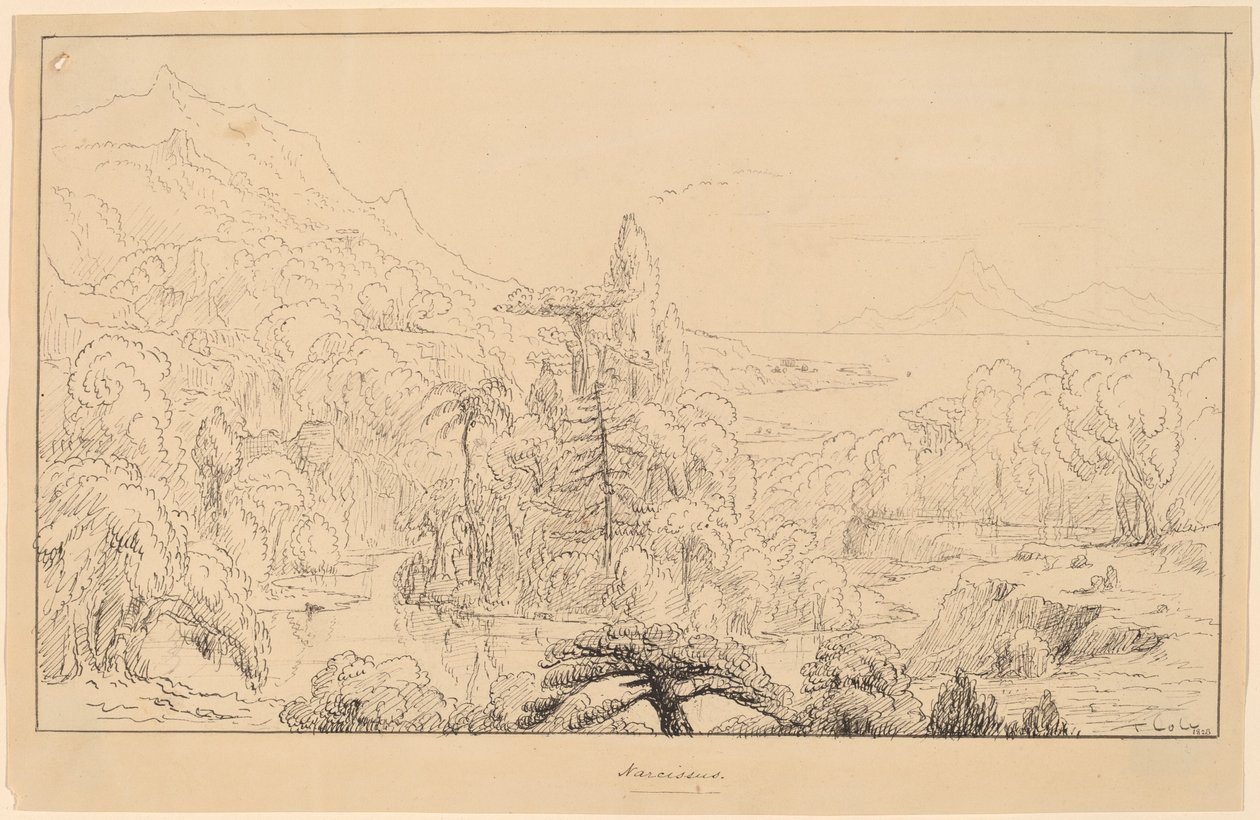 Nergis by Thomas Cole