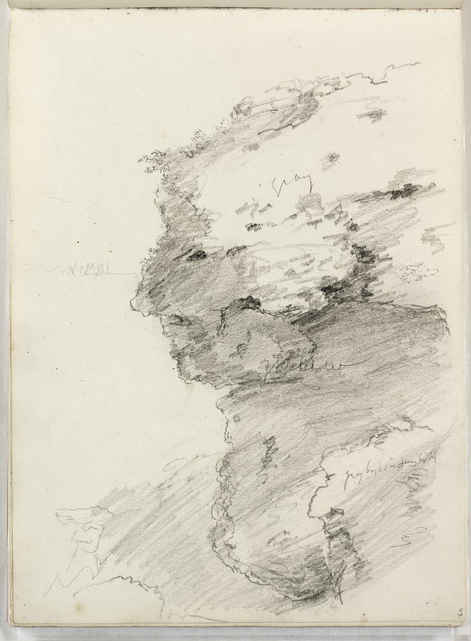 İsimsiz (yapraklı bir uçurumun detayı) 1831 (kağıt üzerine kurşun kalem) by Thomas Cole
