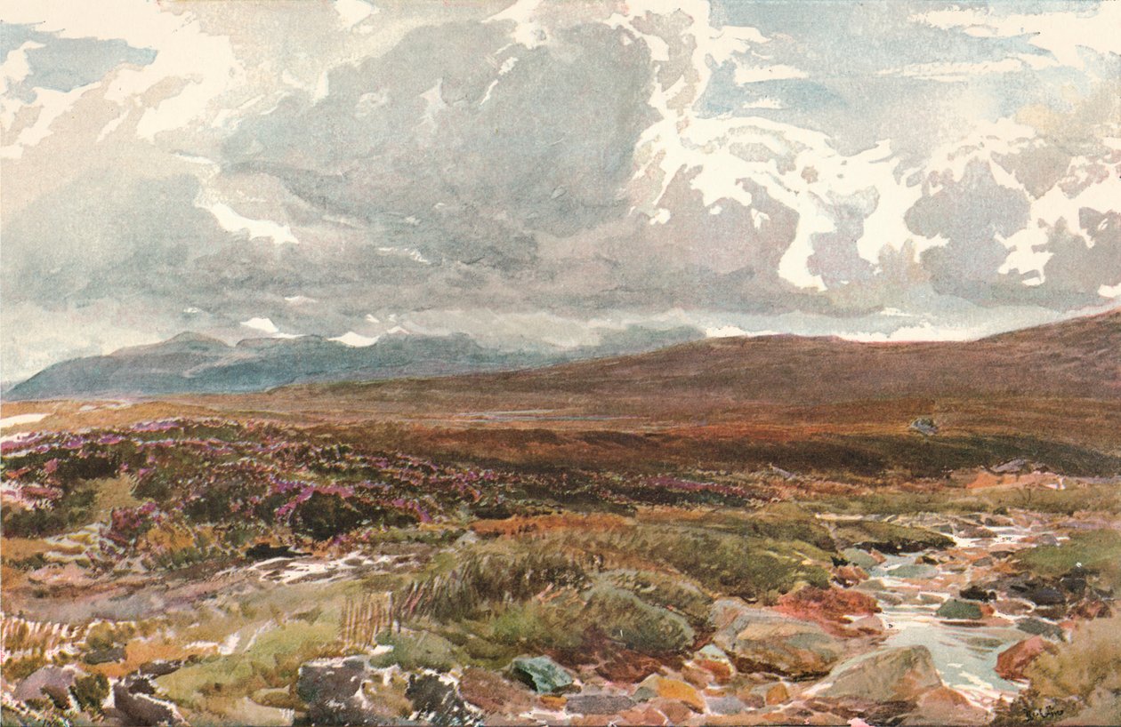 Bir Sussex Ortak, c1889 by Thomas Collier