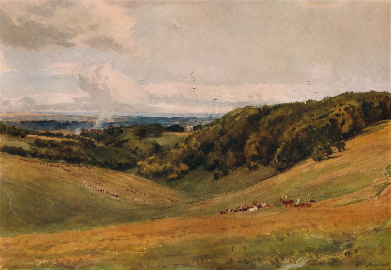Arundel Parkı, Geyik ile, 1880 by Thomas Collier