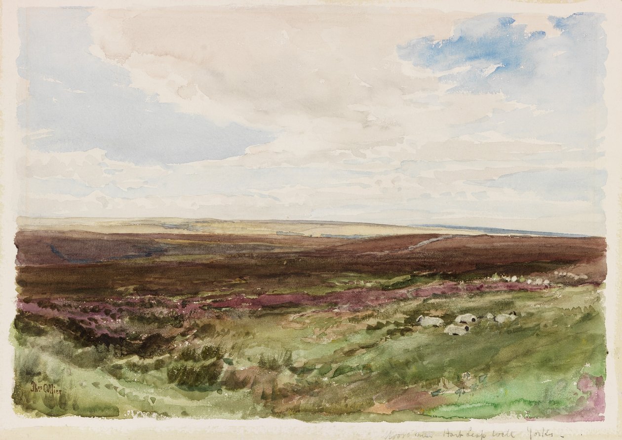 Hart Leap Well, Yorkshire yakınlarındaki Moorland (kağıt üzerine suluboya) by Thomas Collier
