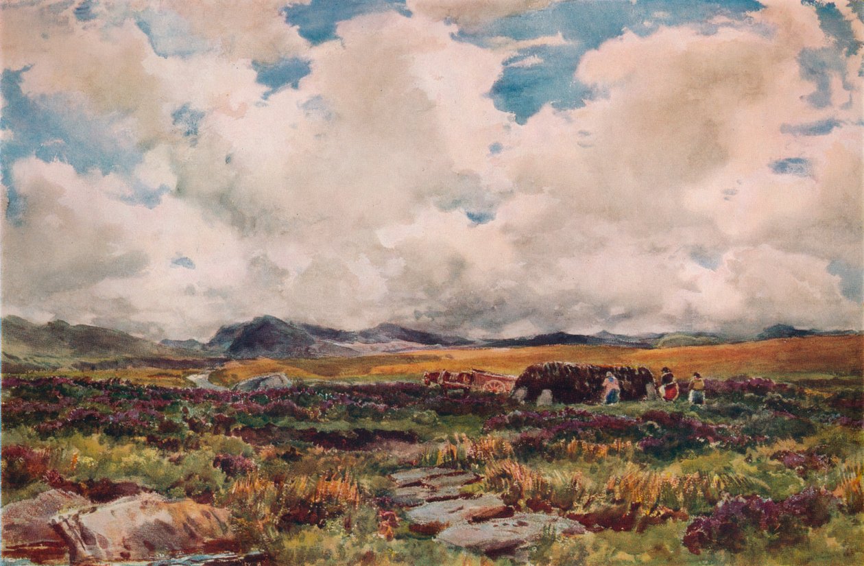 Turba İstifleme, Festiniog, Kuzey Galler, 1881 by Thomas Collier