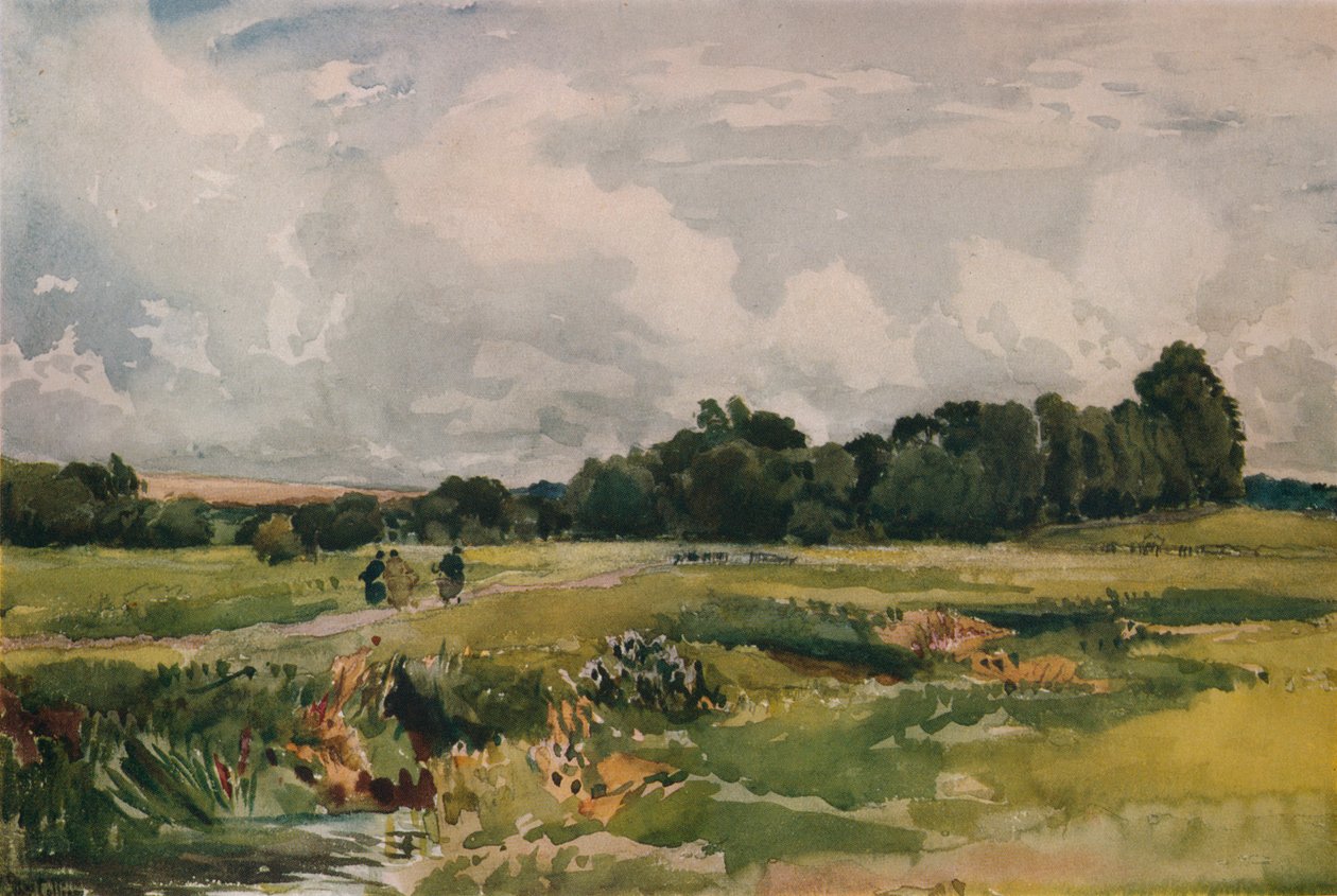 Bataklıklar, c1879 by Thomas Collier