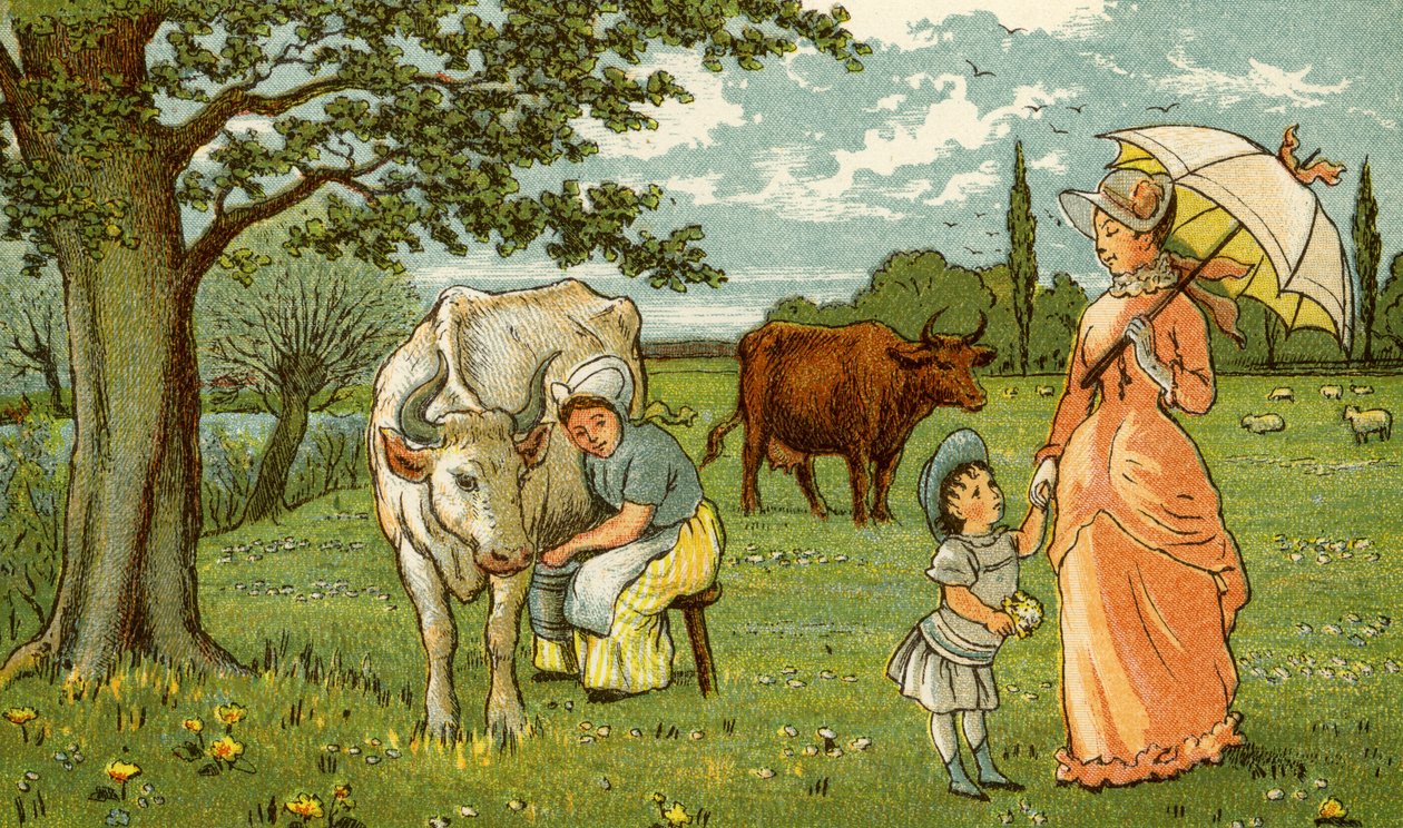 Çikolata ve süt için sağım inek by Thomas Crane