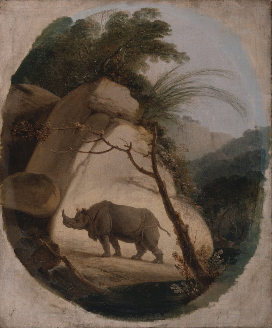 Hint Gergedanı by Thomas Daniell