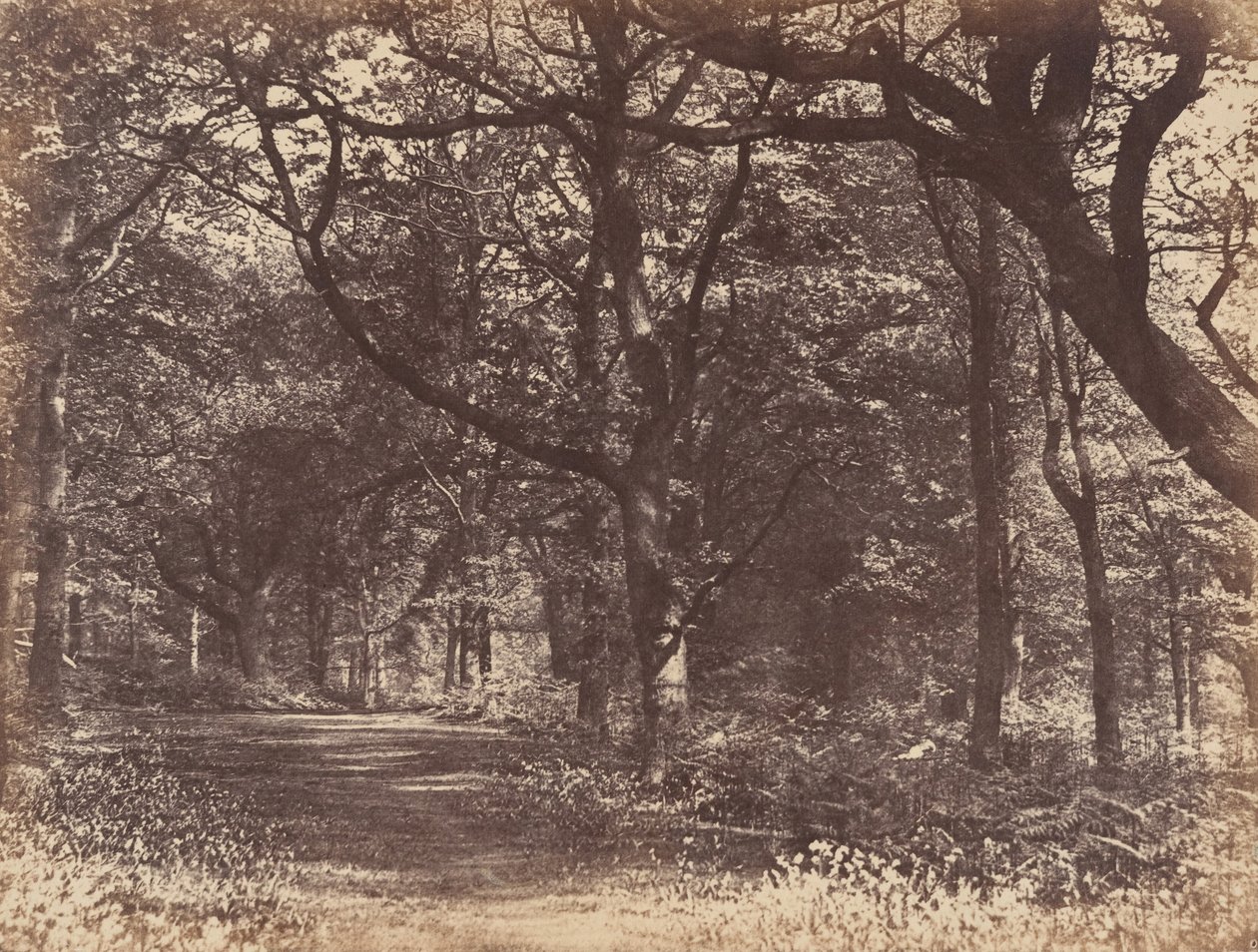 Ahşap sahne, Norton, Cheshire, 1856. by Thomas Davies