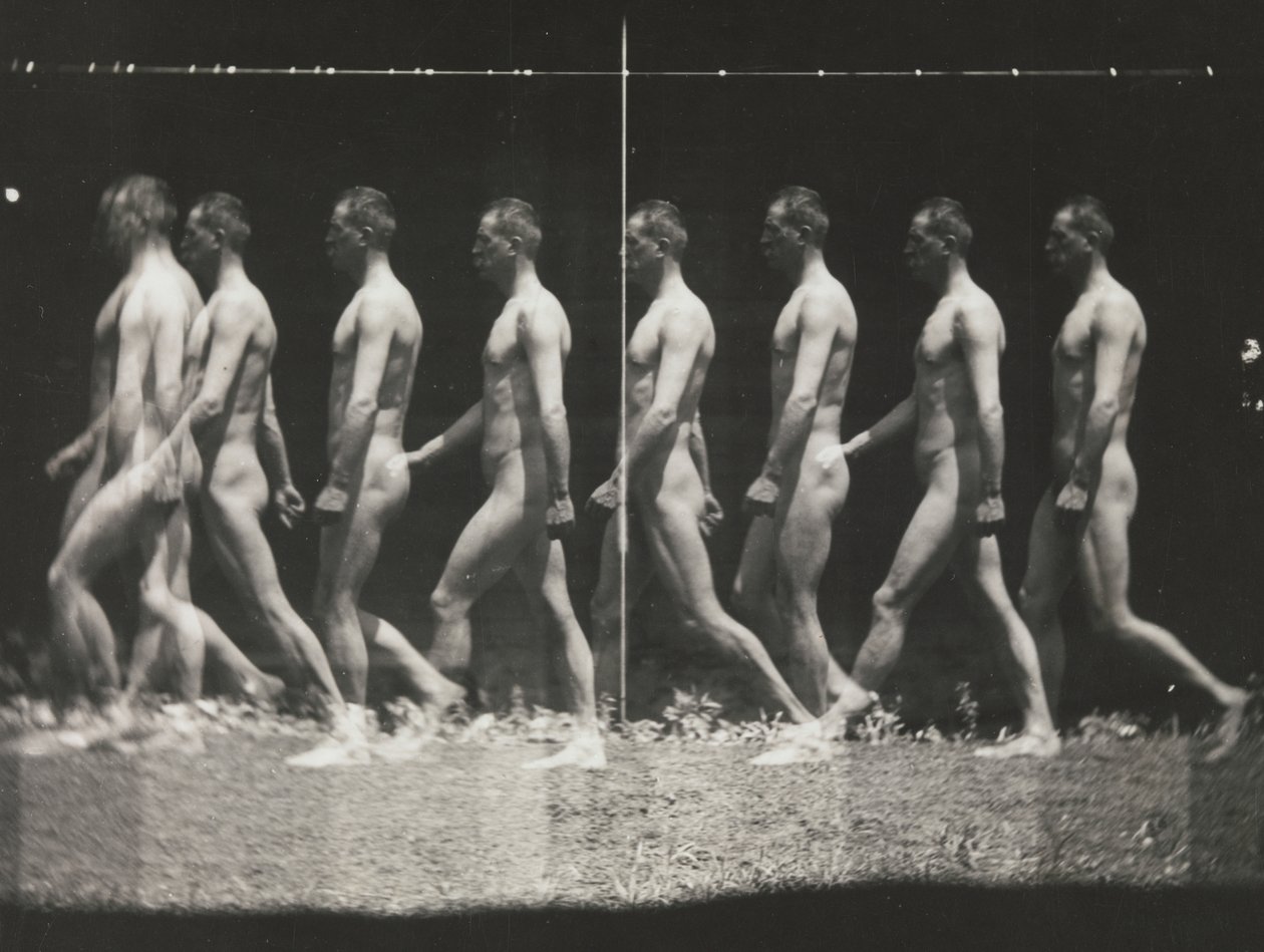 [Yürüyen Adam, Stroboskopik Fotoğraf], 1880