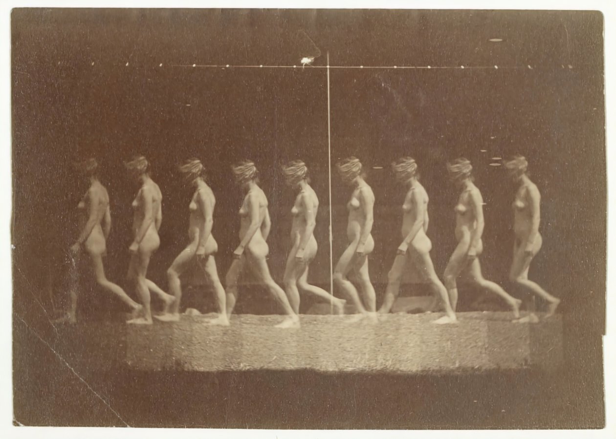 Tanımlanamayan Modelin Marey Tekerlek Fotoğrafları, 1884. by Thomas Eakins