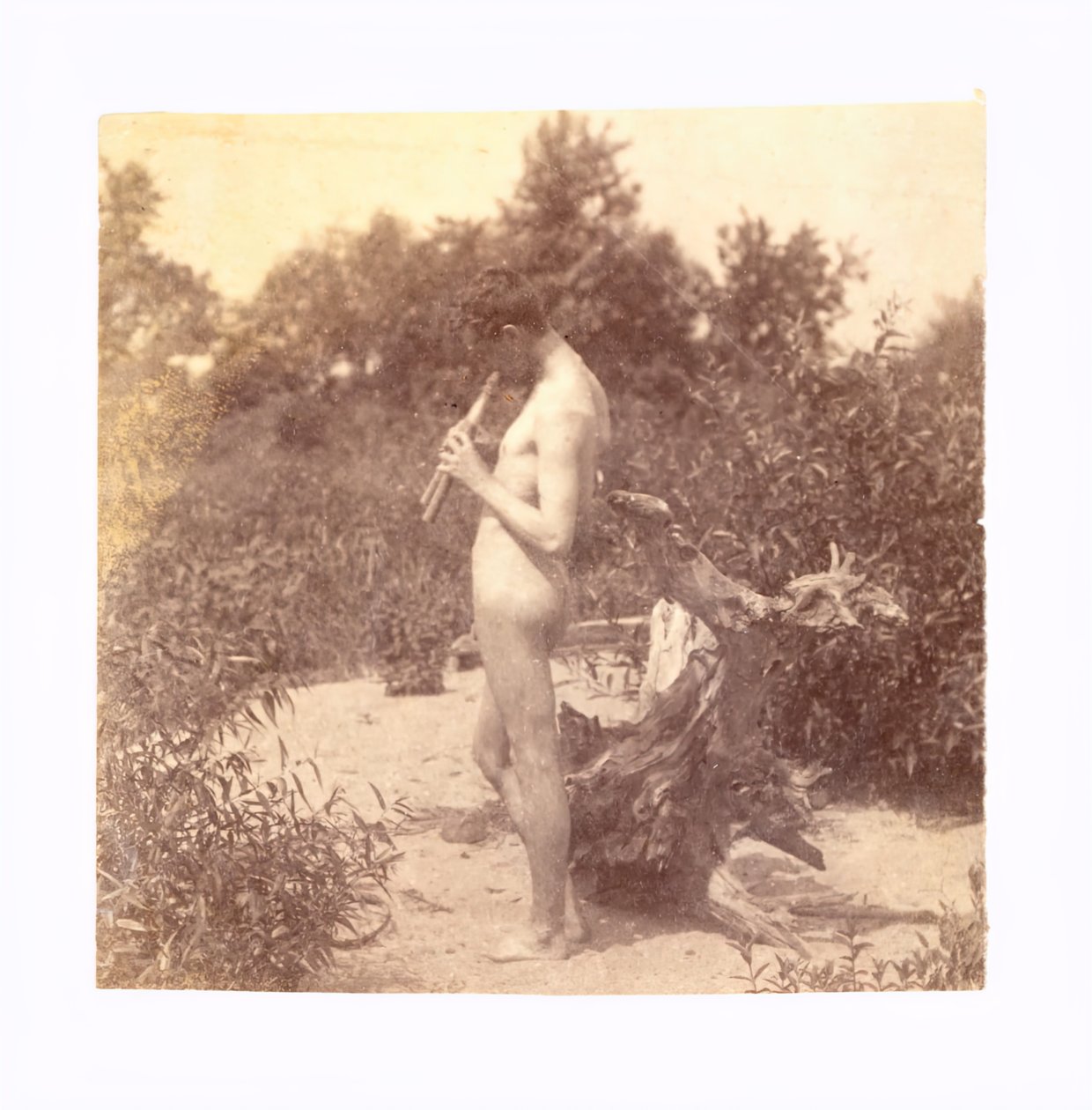 Arcadia için Daimi Piper Çalışması, c. 1883. by Thomas Eakins