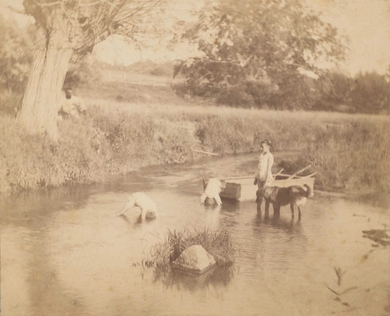 [Üç Çocuk ve Derede Oynayan Bir Köpek, 4 Temmuz 1883], 1883., 1883. by Thomas Eakins