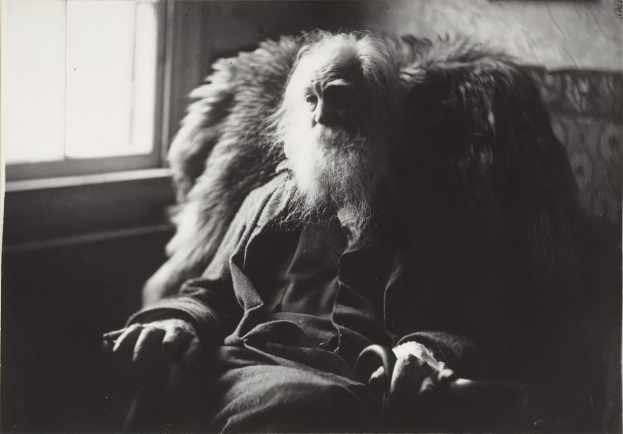 Walt Whitman, Camden, N.J., c. 1891. by Thomas Eakins
