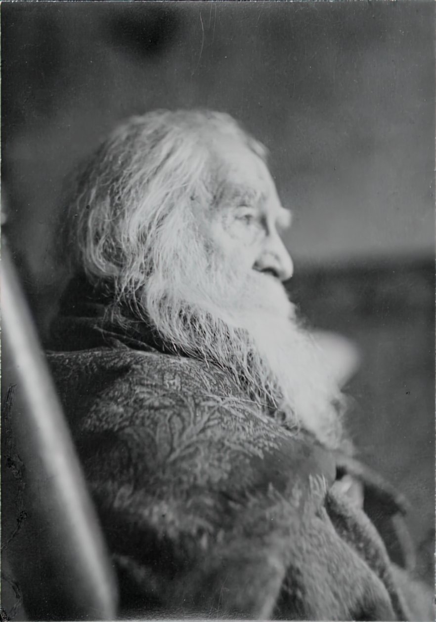 Walt Whitman, Camden, N.J., c. 1891. by Thomas Eakins