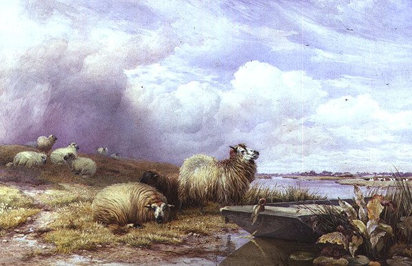 Koyun ve tekne ile bir manzara by Thomas Francis Wainewright