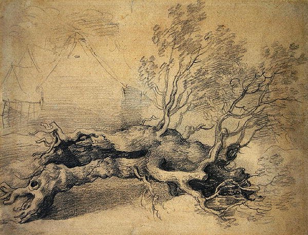 Ötesinde Çiftlik Binaları Olan Devrilmiş Bir Ağaç (kağıt üzerine kurşun kalem) by Thomas Gainsborough