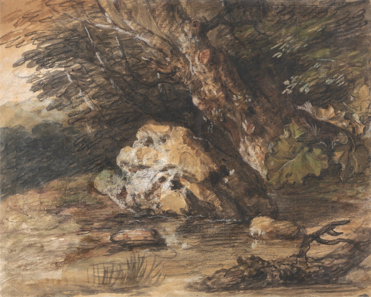 Kayalar ve Bitkilerle dolu Ormanlık Bir Havuz by Thomas Gainsborough