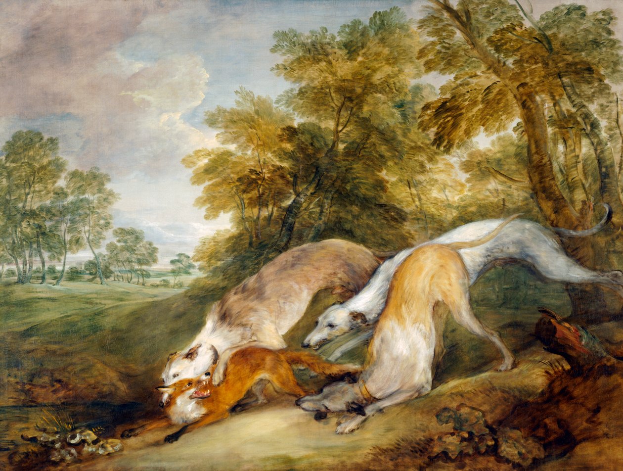 Bir tilkiyi kovalayan tazılar (tuval üzerine yağlı boya) by Thomas Gainsborough