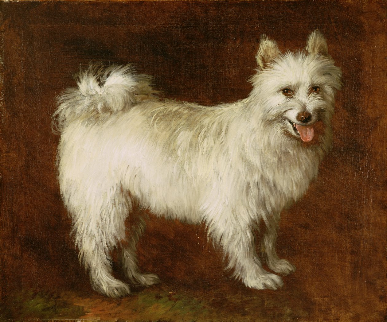Spitz Dog, c.1760-70 (tuval üzerine yağlı boya) by Thomas Gainsborough