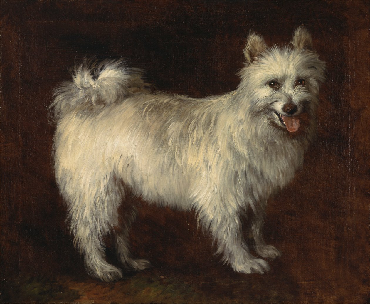 Pomeranya köpeği by Thomas Gainsborough RA