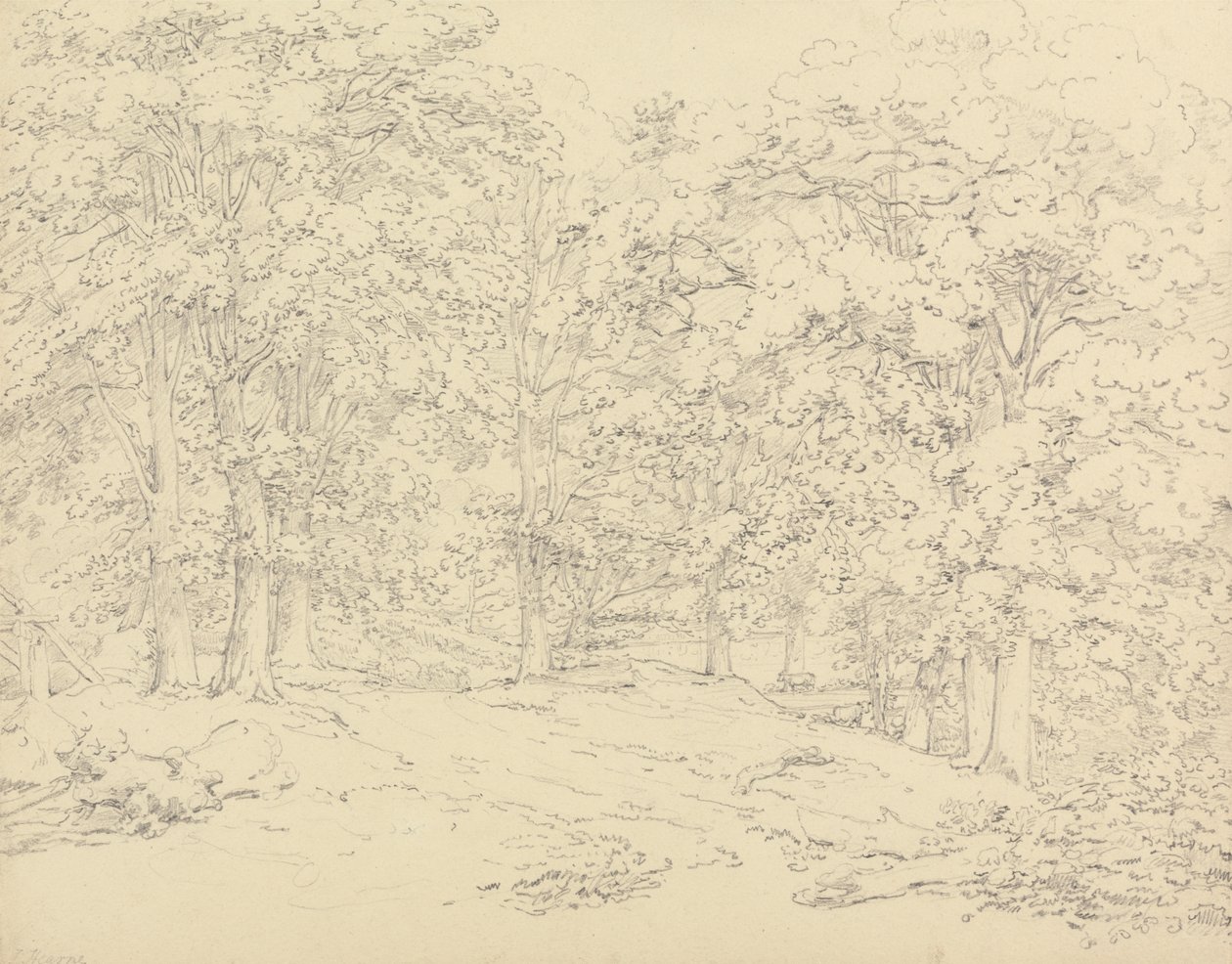 Ashtead Park, Surrey'deki Ağaçlar by Thomas Hearne