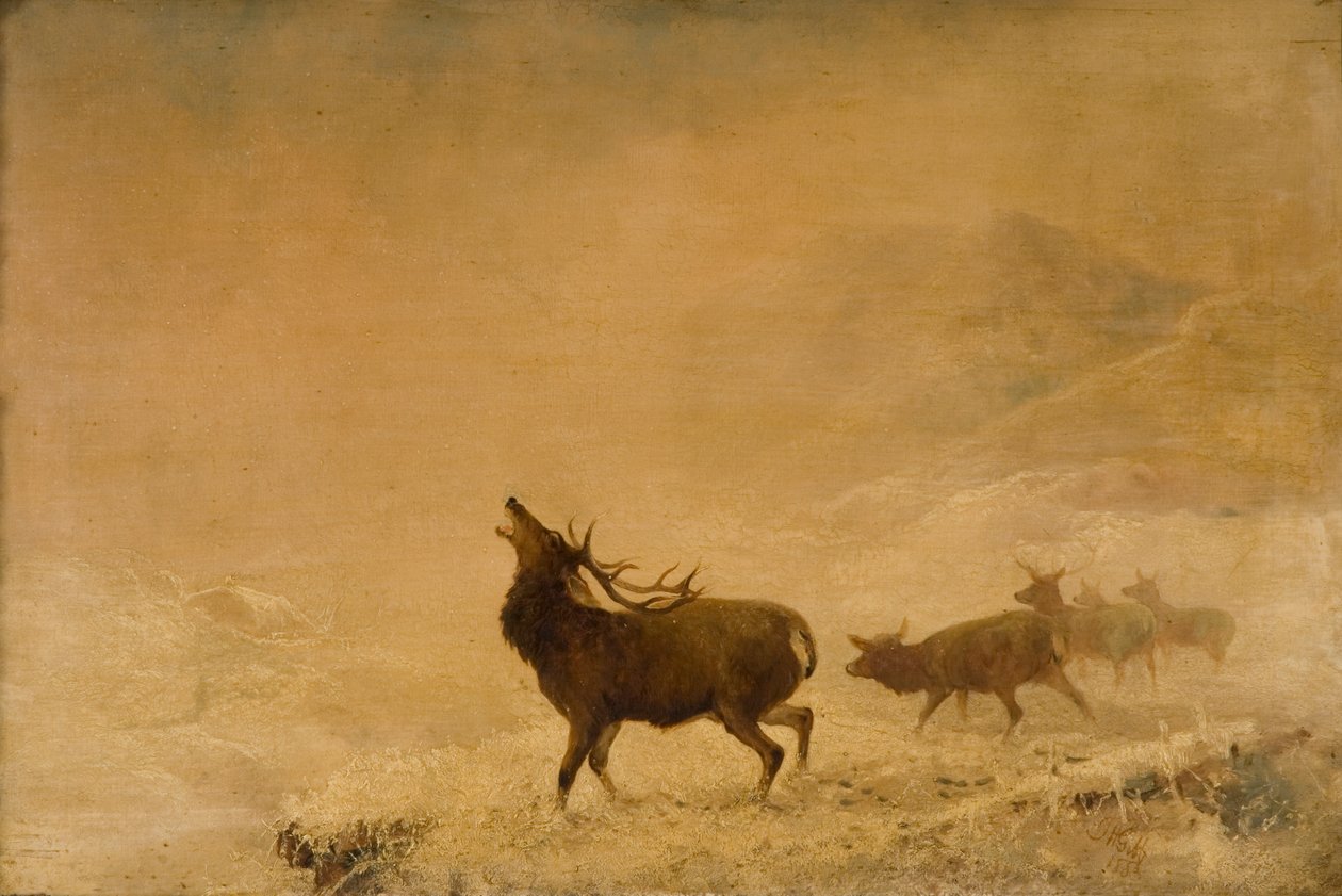 Şimdiye Kadar, 1883 by Thomas Henry Gibb